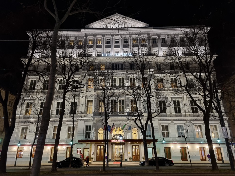 Who Is Vienna Ritz ritz-carlton-vienna-imperia | Verylvke